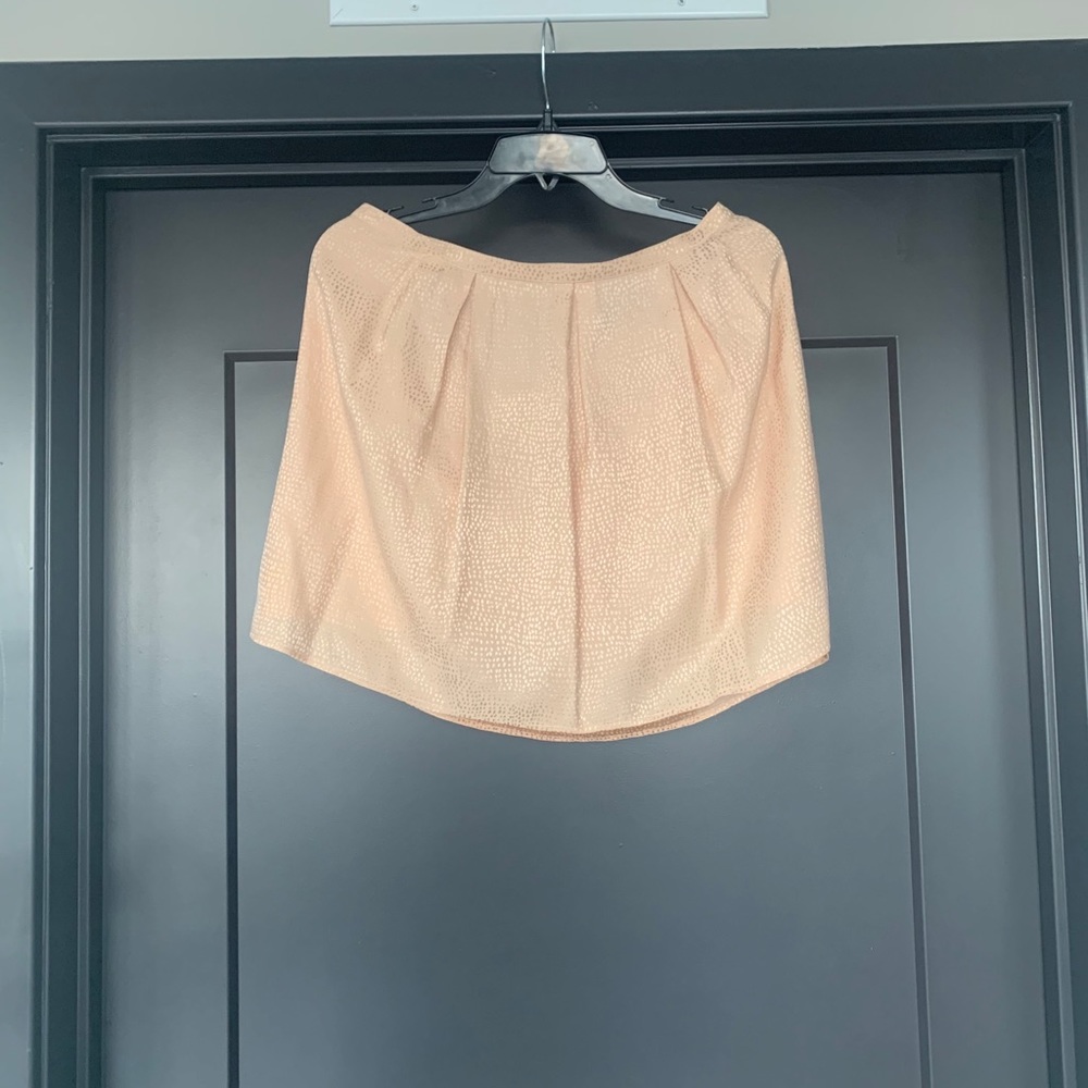 Madewell Blush Skirt